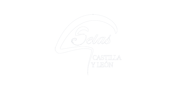 Setas Castilla y León - Mountime